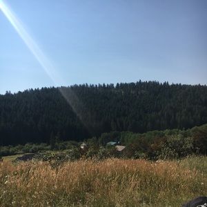 Meet your Posher, Mitzi